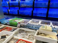 -白沙码头海鲜广场