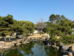 -江心屿景区