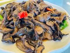 -京北渔家傲