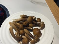 黑鸡枞菌（放入鸡汤更提鲜）-黑鸡小馆(金源店)