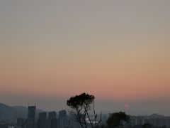 -板樟山森林公园