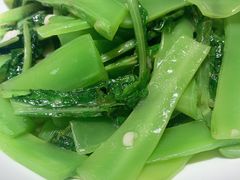 陕南莴笋尖-江城小馆陕南妈妈菜·全球旅行餐厅(钟楼店)