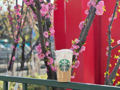-星巴克臻选(济南恒隆店)