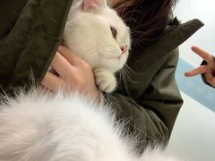 -申普宠物医院·心脏介入·心血管微创(总院)