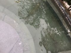 -宁波杭州湾海底温泉