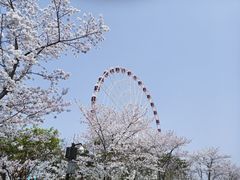 -自然谷恐龙园
