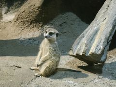 -苏州海洋馆
