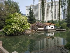 -西苑公园
