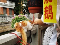 -荔湾湖公园