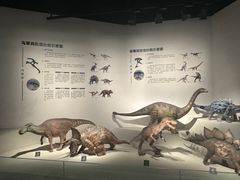-自贡恐龙博物馆