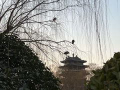 -济南大明湖景区