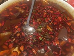 水煮毛血旺-香浙汇(望京店)