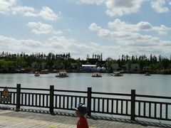 -上海长兴岛郊野公园