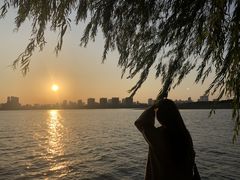 -艾溪湖湿地公园