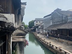 -滋啦啦油煎铺一乌镇萝卜丝饼