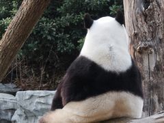 -宁波野生动物园