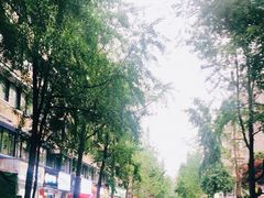 -奎星楼街