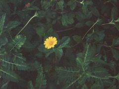 -比格比萨自助(逗号立方店)