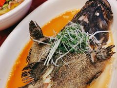 -沪华海鲜大酒楼(南汇店)