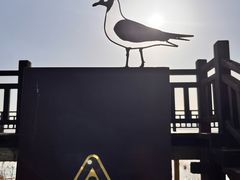 -野鸭湖国家湿地公园