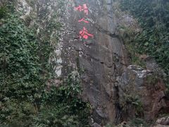 -海南霸王岭国家森林公园