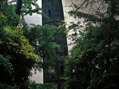 -上海佘山国家森林公园天马山园