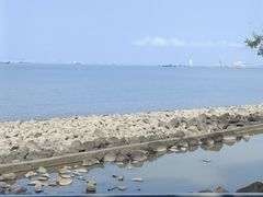 -上海吴淞炮台湾国家湿地公园