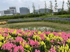 -春花秋色城市公园