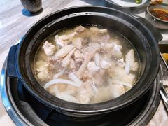 椰子鸡-同仁四季椰子鸡(福田东园总店)