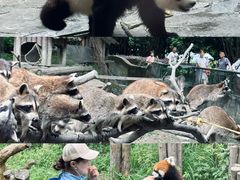 -宁波野生动物园