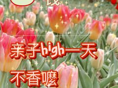 -石家庄市植物园