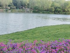 -海淀公园