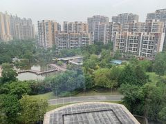 -成都保利公园皇冠假日酒店(熊猫基地店)