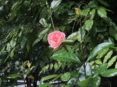 -西安外国语大学(长安校区)