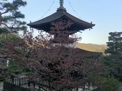 -常寂光寺