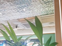 -探窝·竹笙椰子鸡(杨箕店)