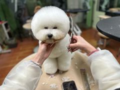 -鑫艺宠物美容培训学校