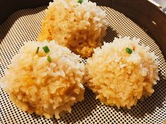 大力丸-风波庄(云蝠大厦店)