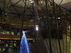 -上海滴水湖皇冠假日酒店