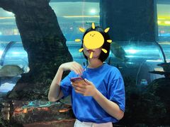 -乐从天佑城海洋馆