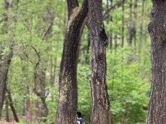 -长春市南湖公园