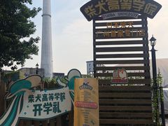 -柴犬高等学院·狗咖·柴犬售卖·宠物训练