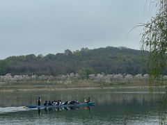 -羊山湖公园