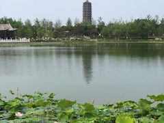 -西海子公园
