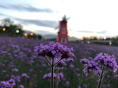 -黄河三峡风景名胜区