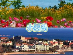 -郑庄脂渣海鲜楼(九水路店)