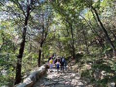 -阳台山自然风景区