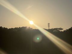 -东莞植物园