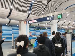 -大望路(地铁站)