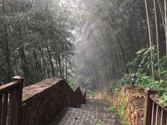 -素山寺森林公园